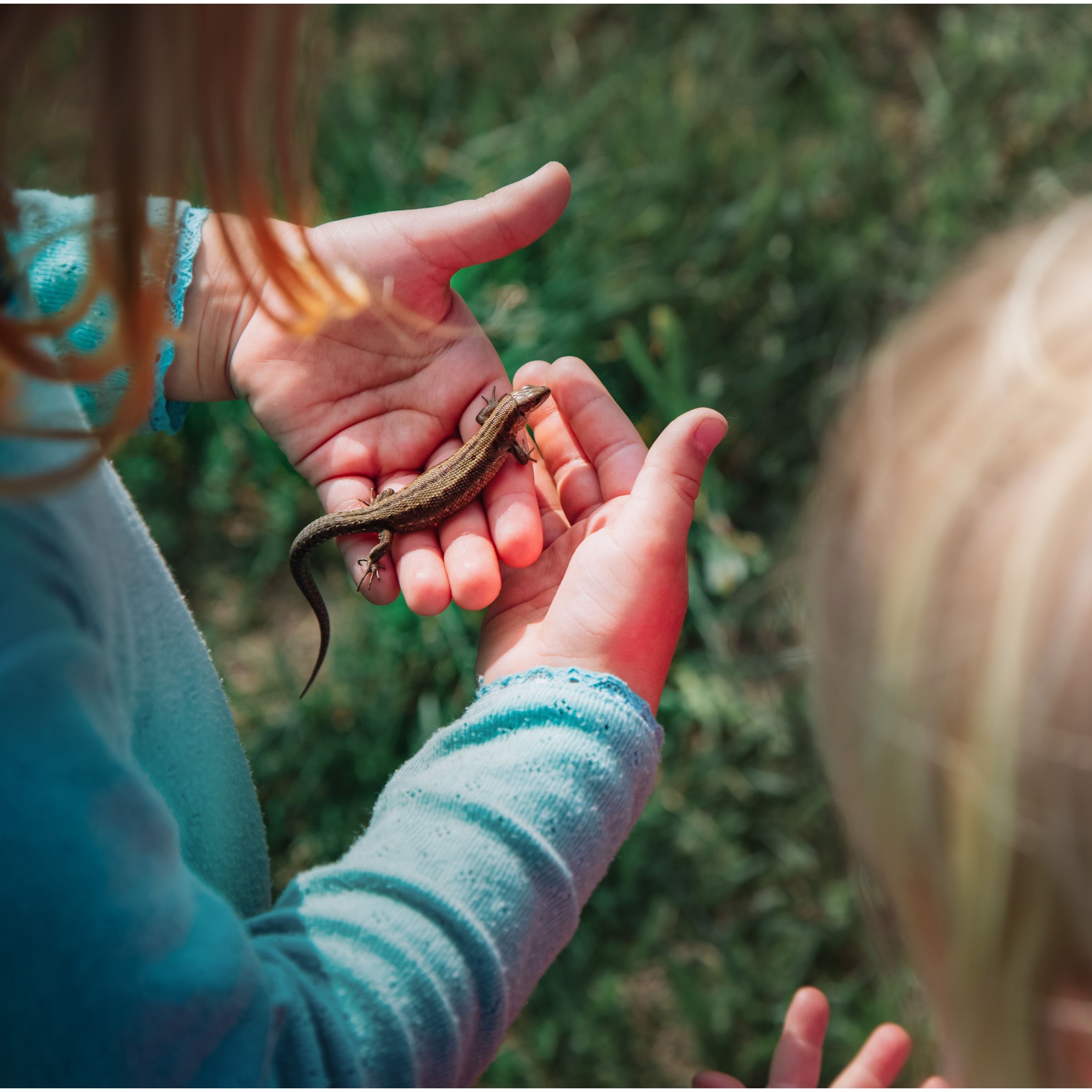 Kinder beim Entdecken